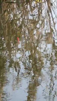 Кто узнал что за поплавок!?