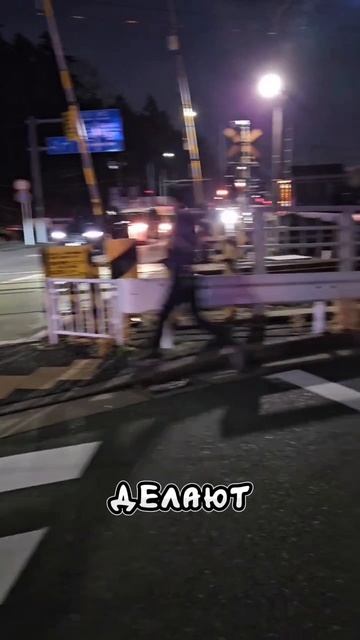 Засада полицейских в Японии...