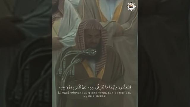 Чтец шейх Сауд аш Шурейм, сура Аль Бакара [102]