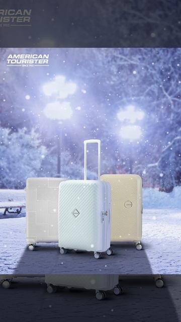 Snowflake suitcase  Velton Squasem Curio