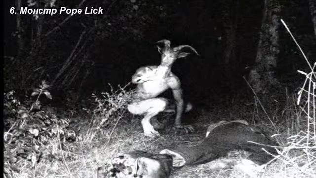 Топ 10 самых странных и необъяснимых существ планеты