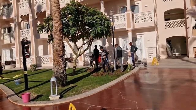 Albatros Palace Resort.Hurgada личный обзор.2022.12.31-2023.01.10