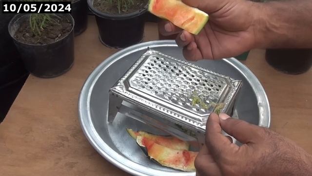 watermelon rinds fertilizer|homemade liquid fertilizer