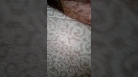 VID_20250204_154947.3gp