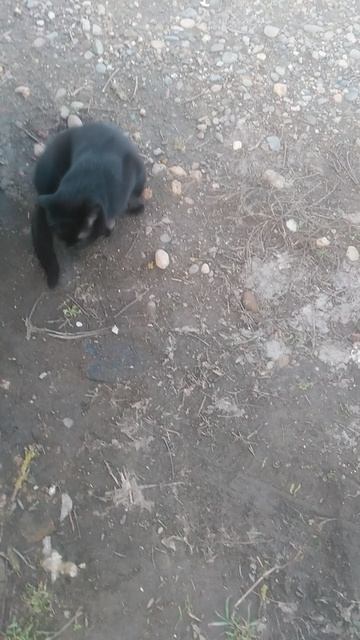 VID_20250130_165019