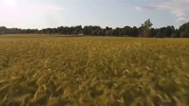 Это Видео Заставляет Задуматься
