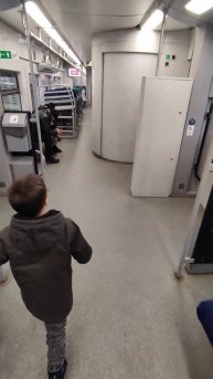 идем в туалет в электричке