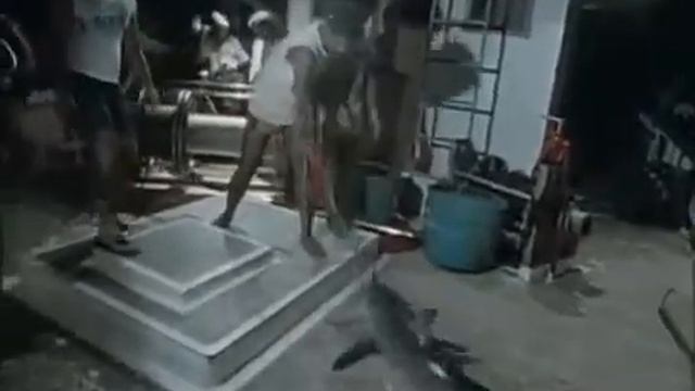 Подводная одиссея команды Кусто