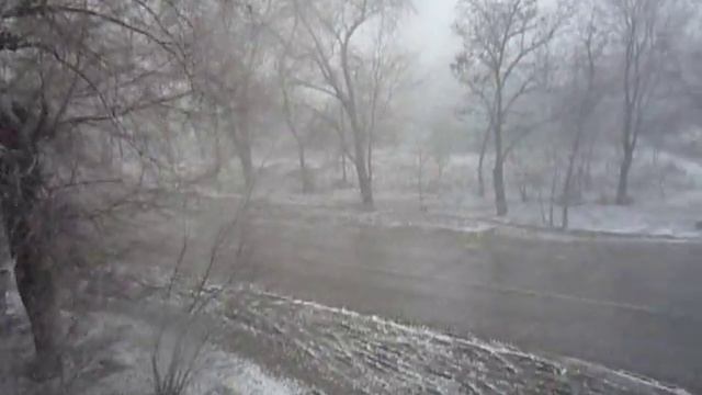 *ука весна в волгограде
