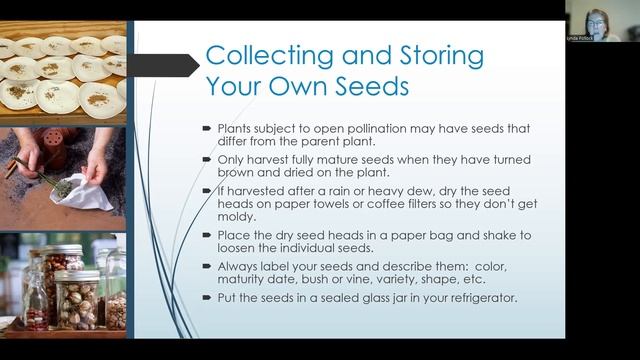 Start Your Own Seeds Like a Champ