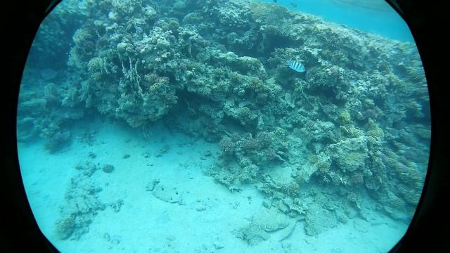 Marsa Alam Brayka Bay Resort 27.8.217