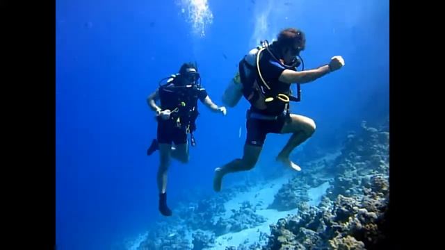 Shamandura Diving present under water Marathon