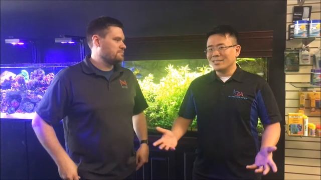Neptune systems new line-up interview.