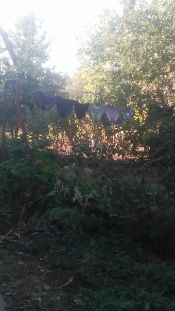 VID_20241004_151019