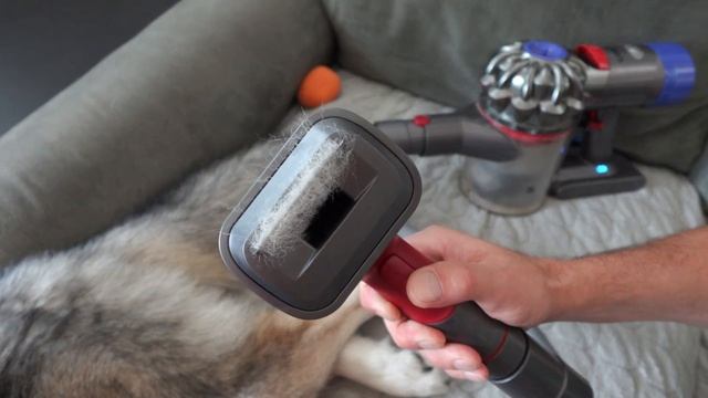 Use Your DYSON To Groom Your Dogs With This Kit!