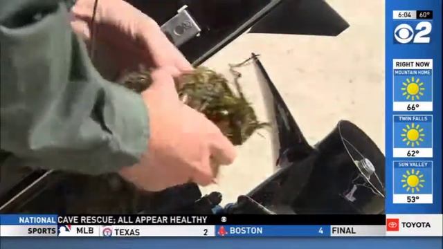 Boat Inspections Prevent Invasive Species in Idaho Waters