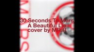 30 Seconds To Mars -- A Beautiful Lie(cover by Mr.R).mov