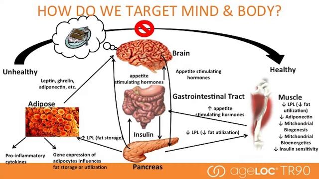 TR90 Science with Dr  Mark Bartlett newly revised