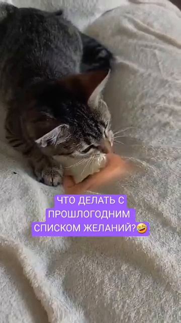 СПИСОК ЖЕЛАНИЙ 🤣 #видео #прикол #юмор #позитив #популярное #рек