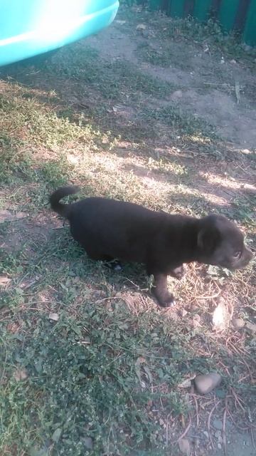 VID_20241004_094800
