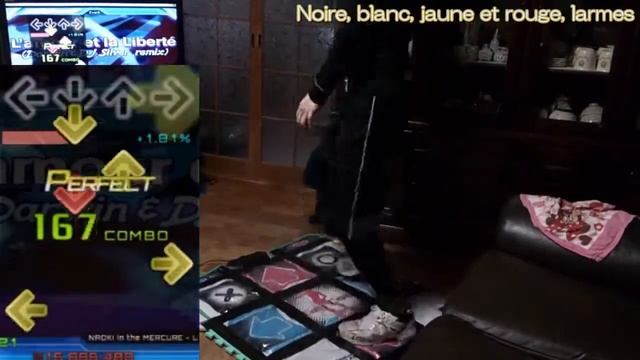 [ESP] L'amour et la liberté(Darwin & DJ Silver remix) - DDR / SM (FC)