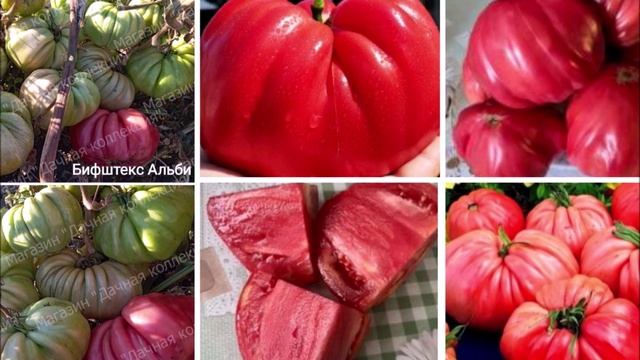 Бифштекс Альби – неожиданная находка среди Минусинских томатов!🍅🥩❤