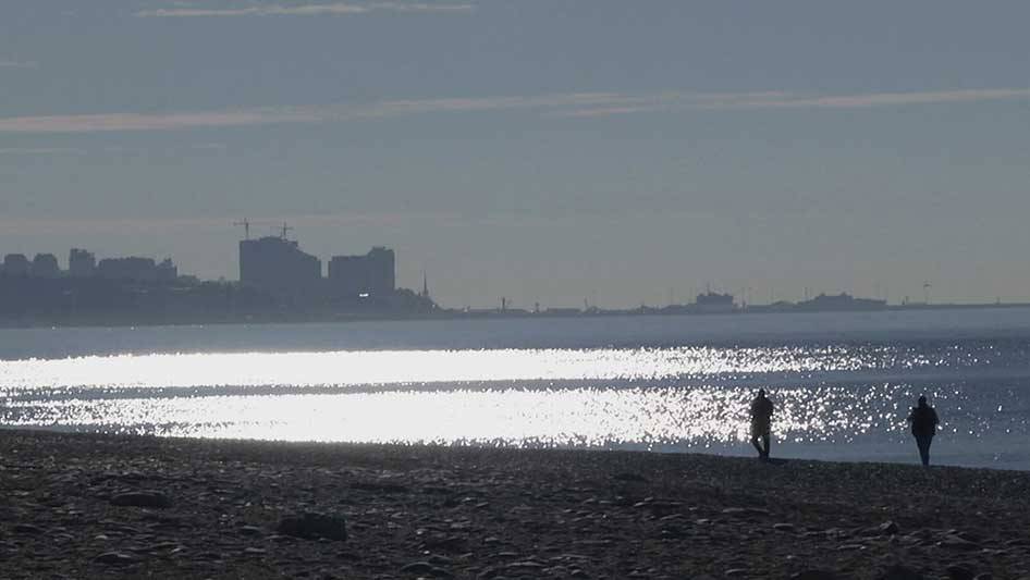 В Сочи ежедневно проверяют берег и море на наличие мазута