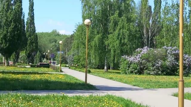 Сквер возле КЦ  Губерния. 2