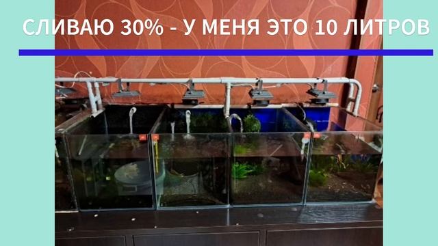 ПОДМЕНА ВОДЫ В АКВАРИУМЕ С КРЕВЕТКАМИ МОЙ СПОСОБ