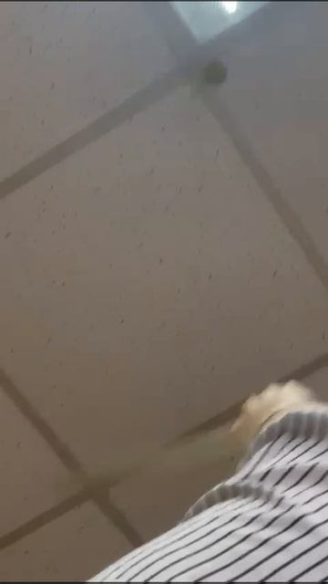 это мы пытаемся достать Таба лапку😂