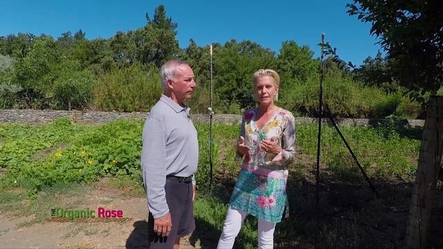 What's In It? - The Organic Rose