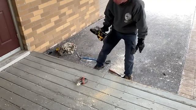 Животные просят помощи