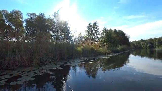 ДОЖДАЛСЯ. Давно ТАКИХ ЩУК не ловил. Крупная щука на спиннинг осенью