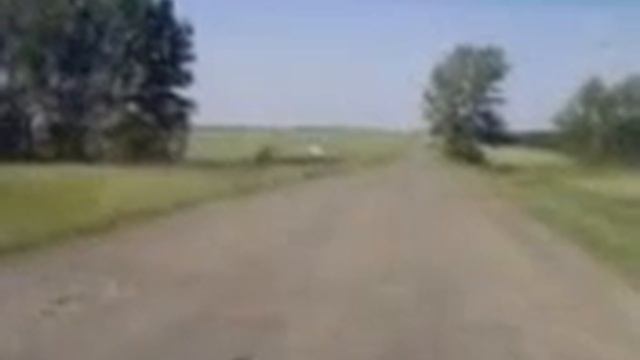 заринск -- голуха.3gp