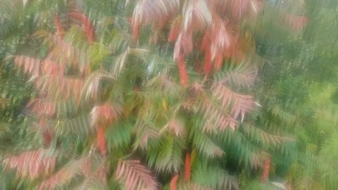 Ритуалы - онлайн от врагов на соединение Юпитера с Шеат. 1. Морок на власть, врагов на туман. К Мор