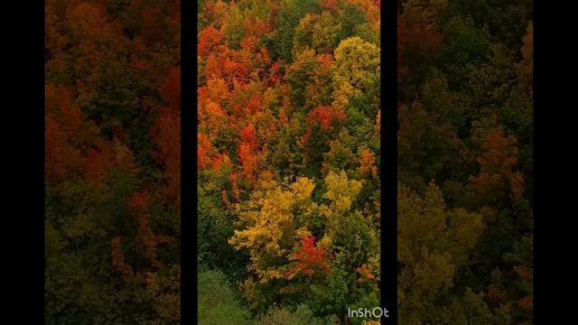 Ты тот...mp4