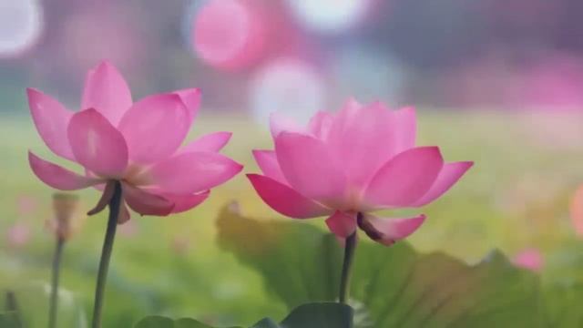 6 мая: внутренняя гармонизация. Планы на новый лунный месяц