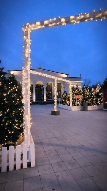 Время Волшебства в Рязани 🎄❄