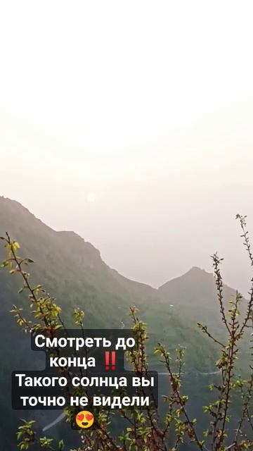 Солнечное затмение или🤔 Что это? кто знает? #arabic #солнце #2024