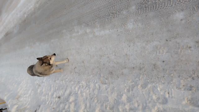 где-то в России!!!