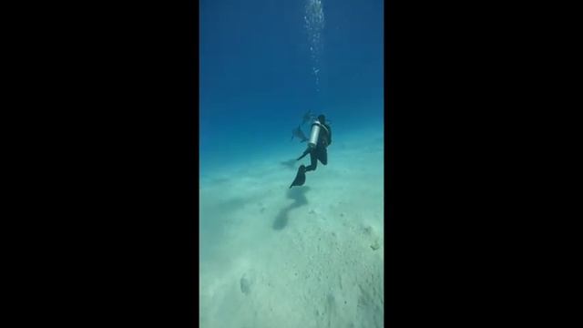 Red Sea dive resort Marsa Shagra