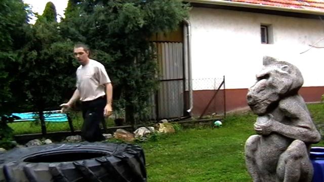 Tire flip c  100 kg 220 ibs