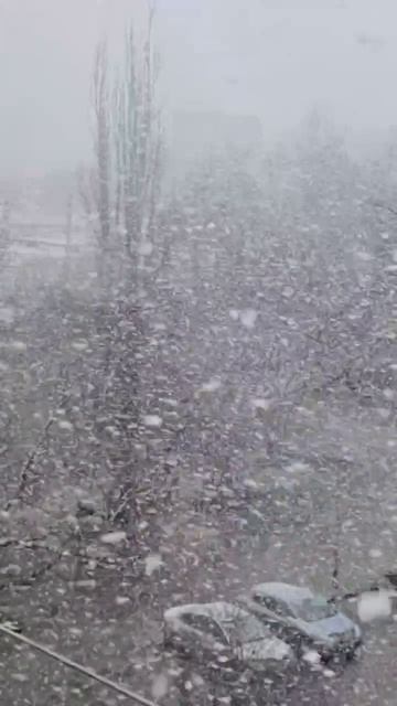❄️Дождались! В Керчи пошел снег❄️

Керчане наблюдают за окном настоящую зимнюю сказку.