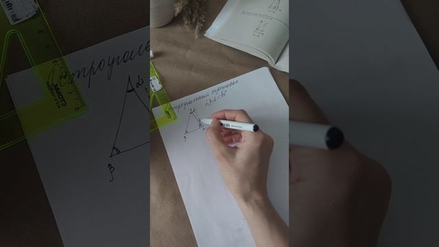 Виды треугольников, классификация по углам.mp4