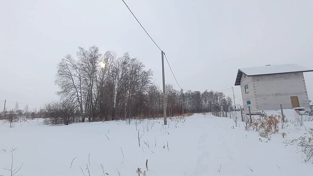 51320922,51320916