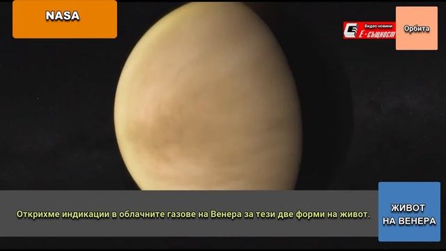 Има ли живот на Венера