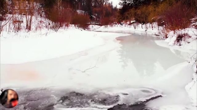 Бытовые из жизни. Истории из жизни, мистика и ужасы, творческие #154