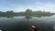 ESTURION UNICO EVERGLADES!! Como pescarlo gameplay español fishing planet