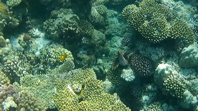 Marsa Alam Three Corners Fayrouz Plaza Resort