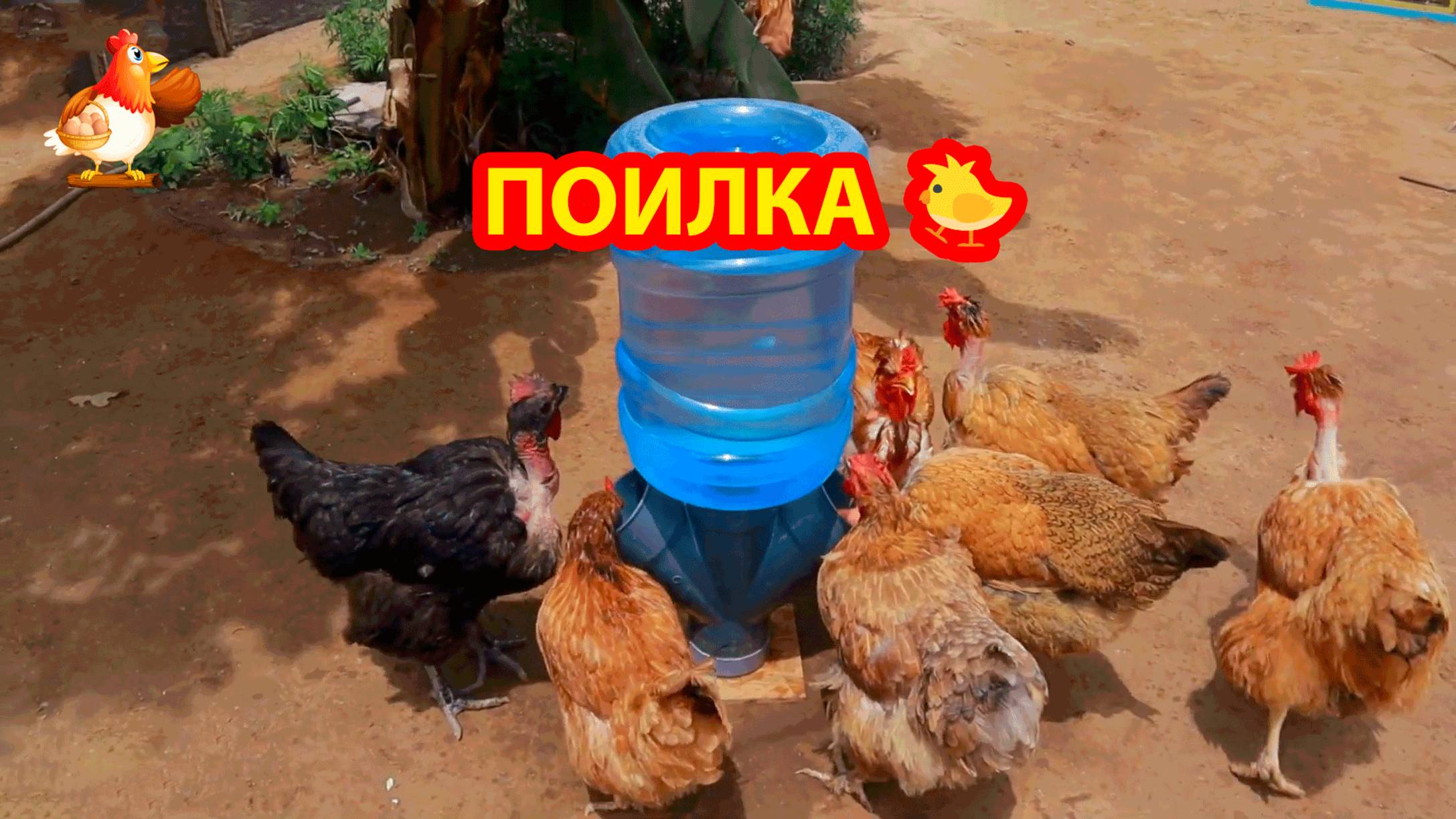 Поилка курам из бутыли от кулера и сантех тройника 💦 Большая и удобная 🐓❣️🐥